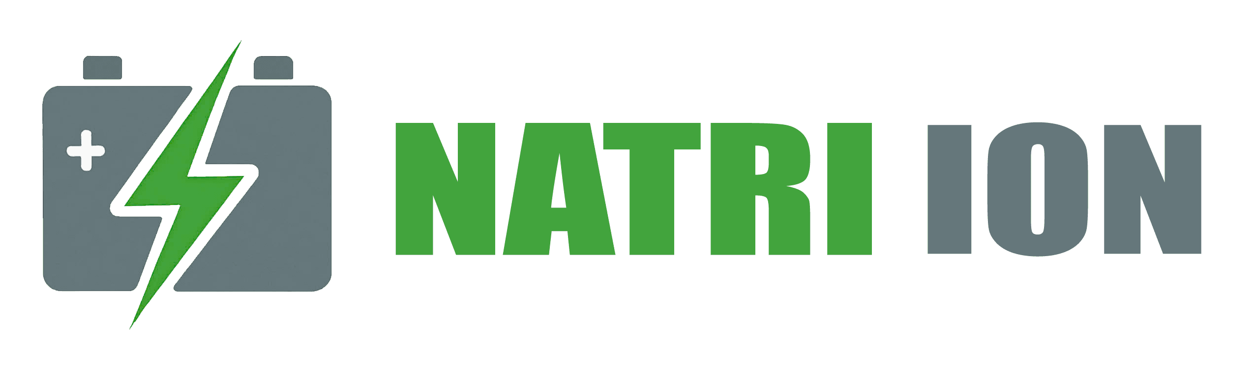 Natri Ion Việt Nam