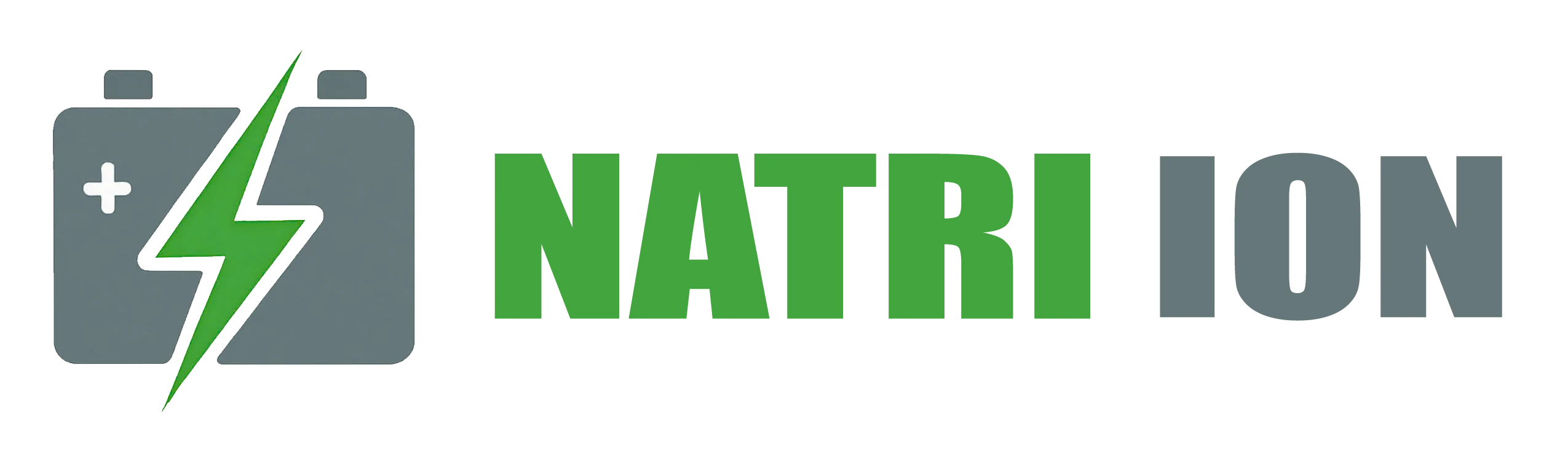 Natri Ion Việt Nam