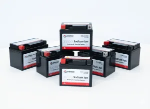 Bình Ắc quy xe máy Natri Ion 12v