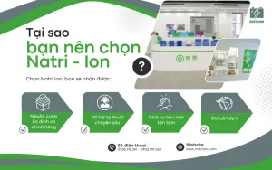 taị sao chọn chúng tôi